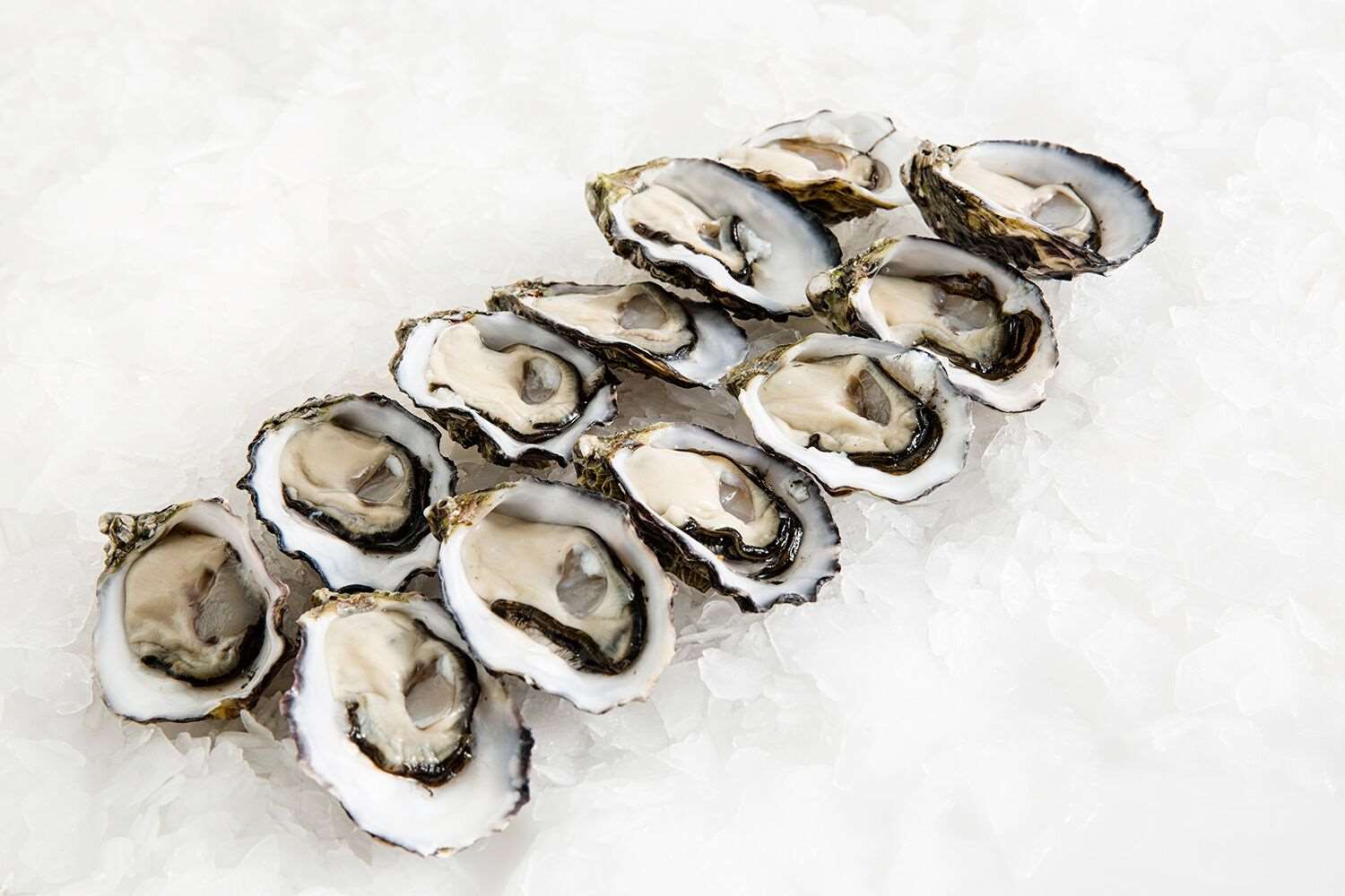 Pacific Oysters Med-Lge