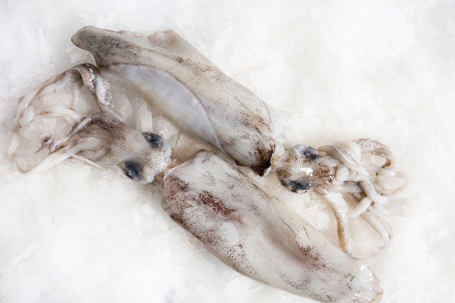 Spanish Stuffed Squid with Salsa Verde & Garlic Breadcrumbs