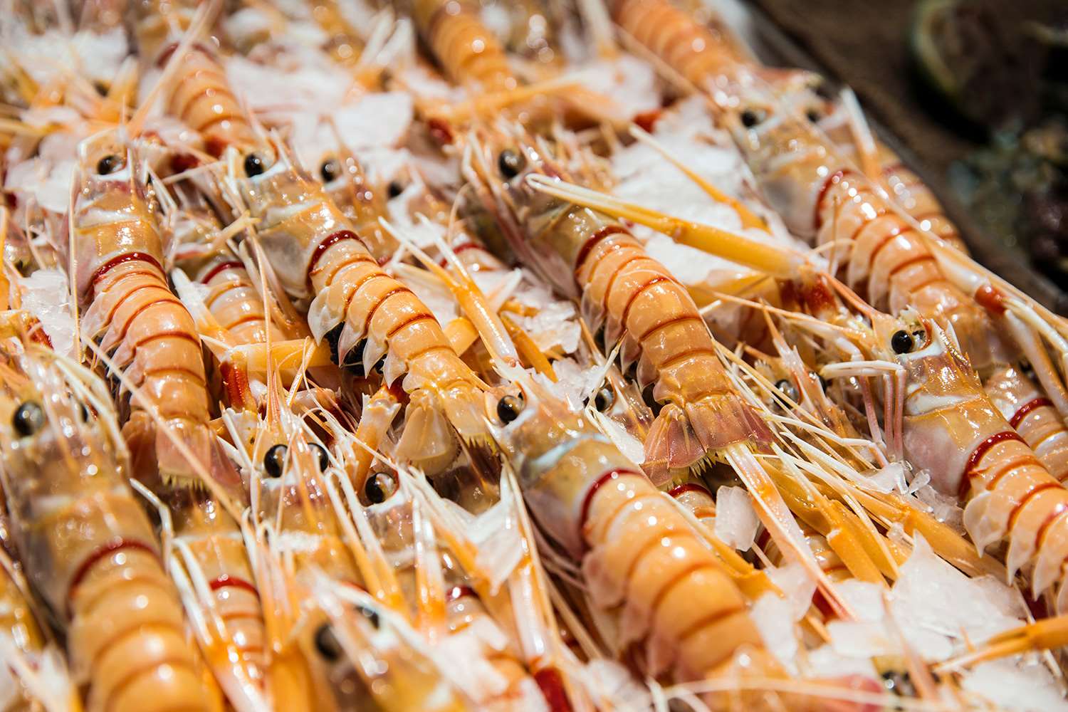 Grilled Scampi with Chilli, Herb & Garlic