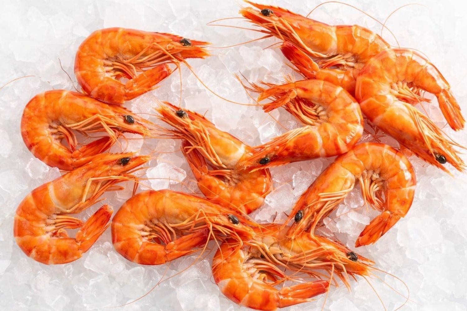 XLarge Tiger Prawns Cooked