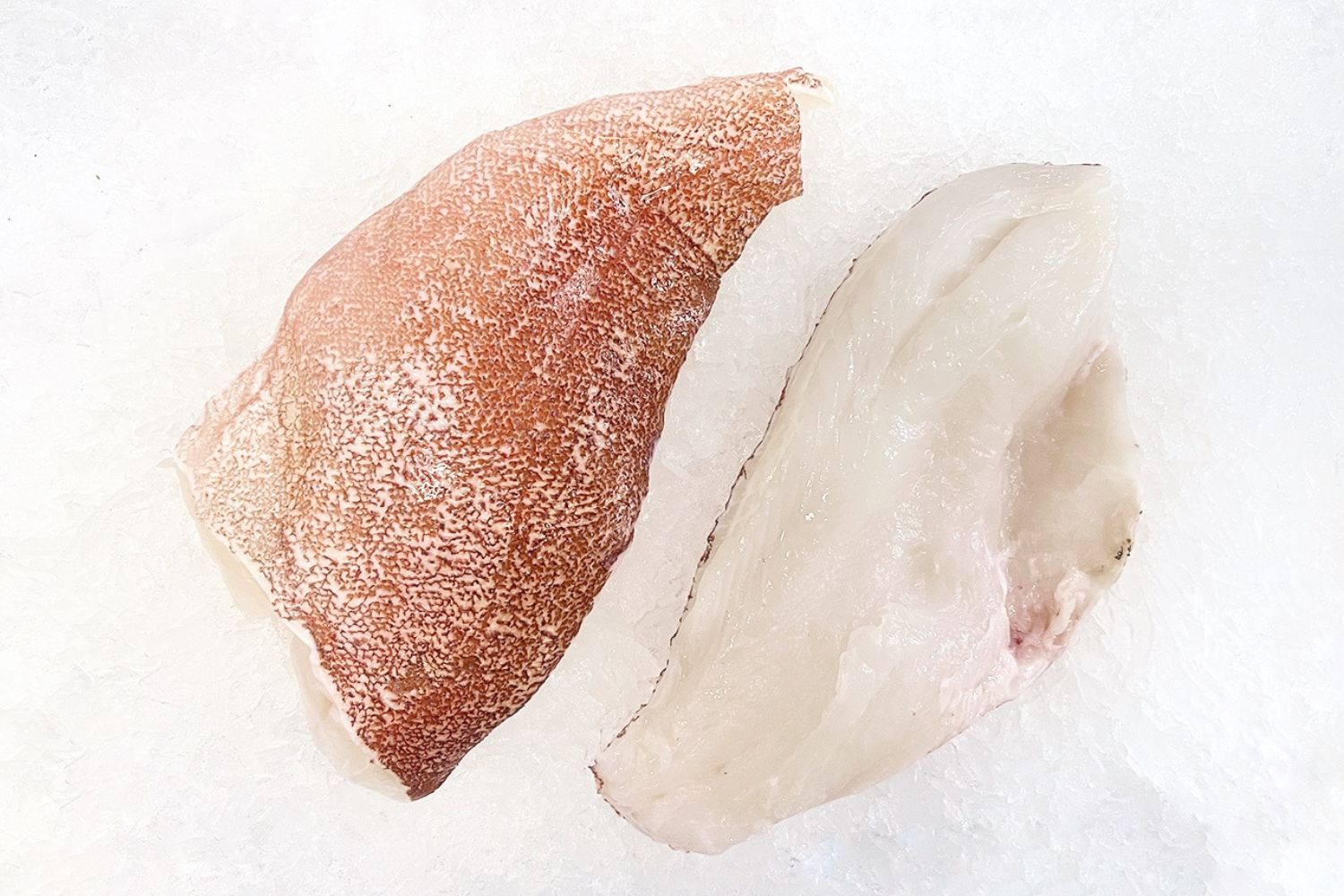Coral Trout Fillet