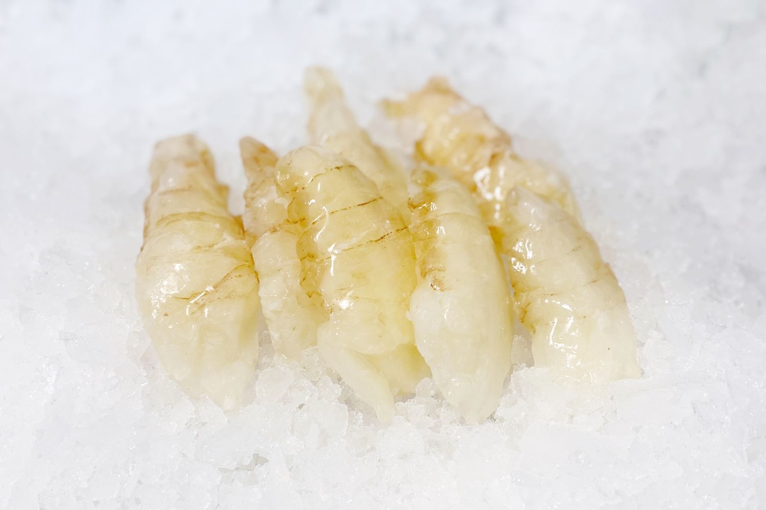 XO Noodles with Slipper Lobster