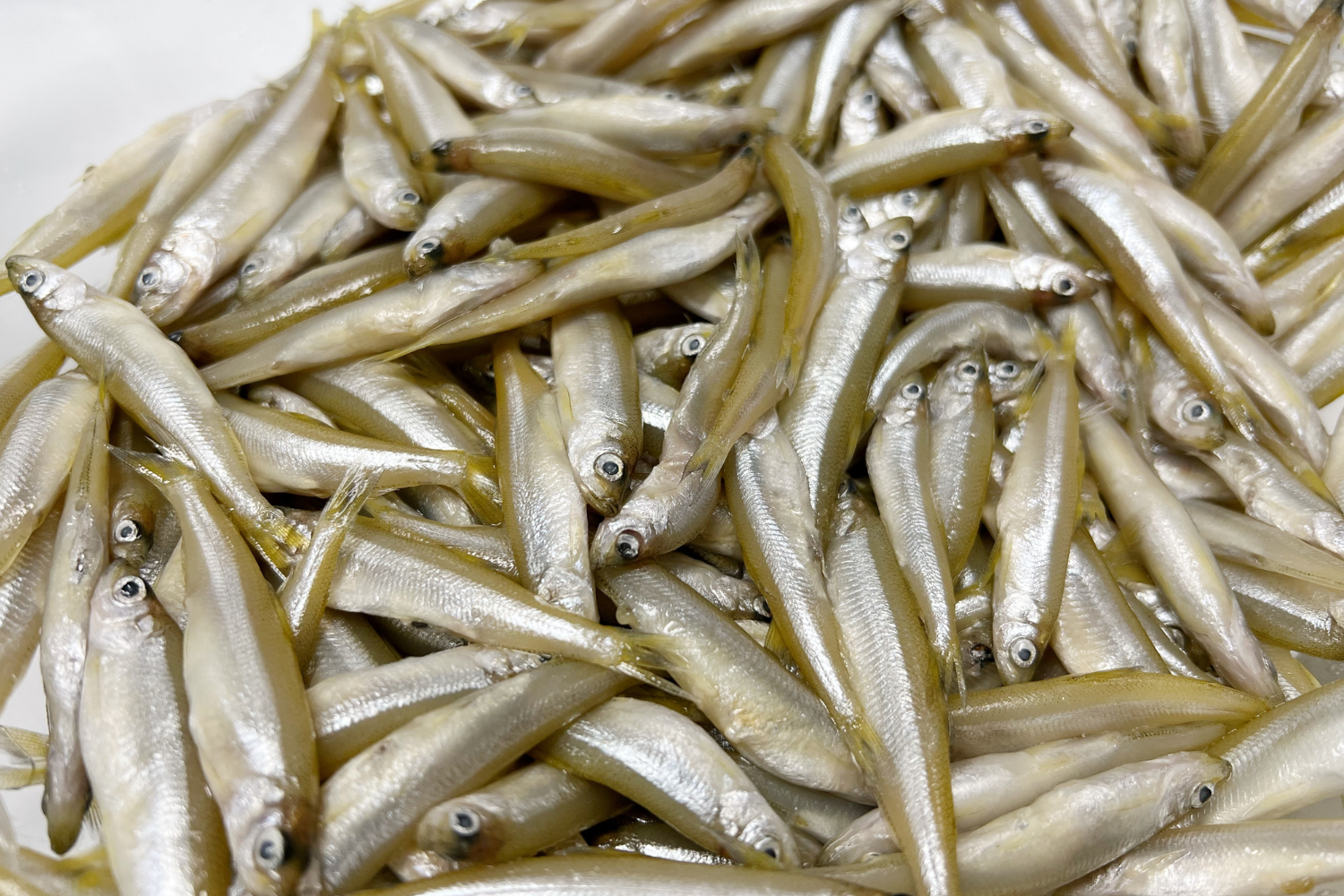 Fried Whitebait